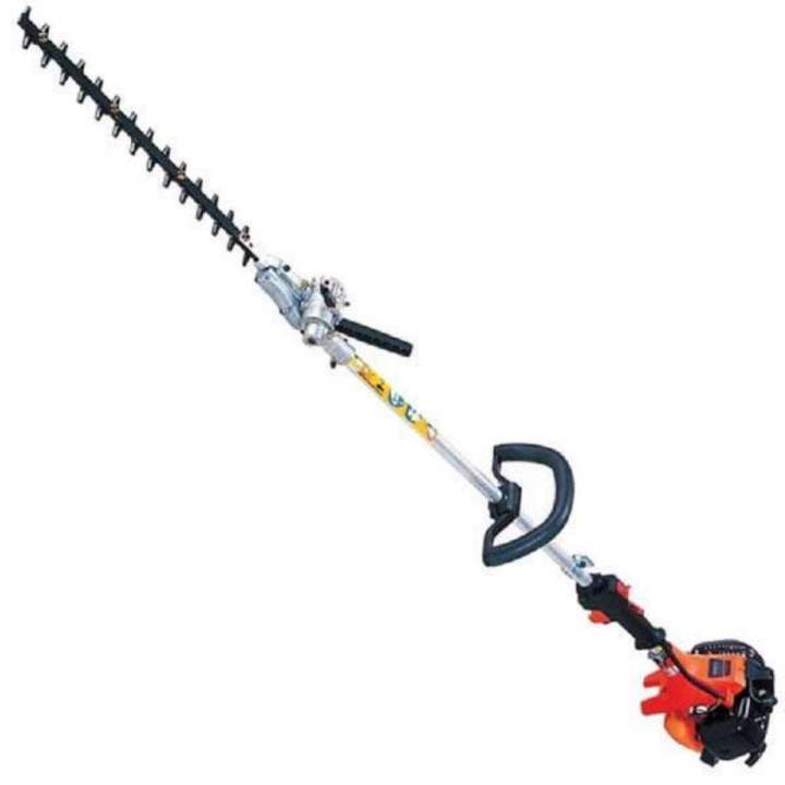 Taille haie perche Millau